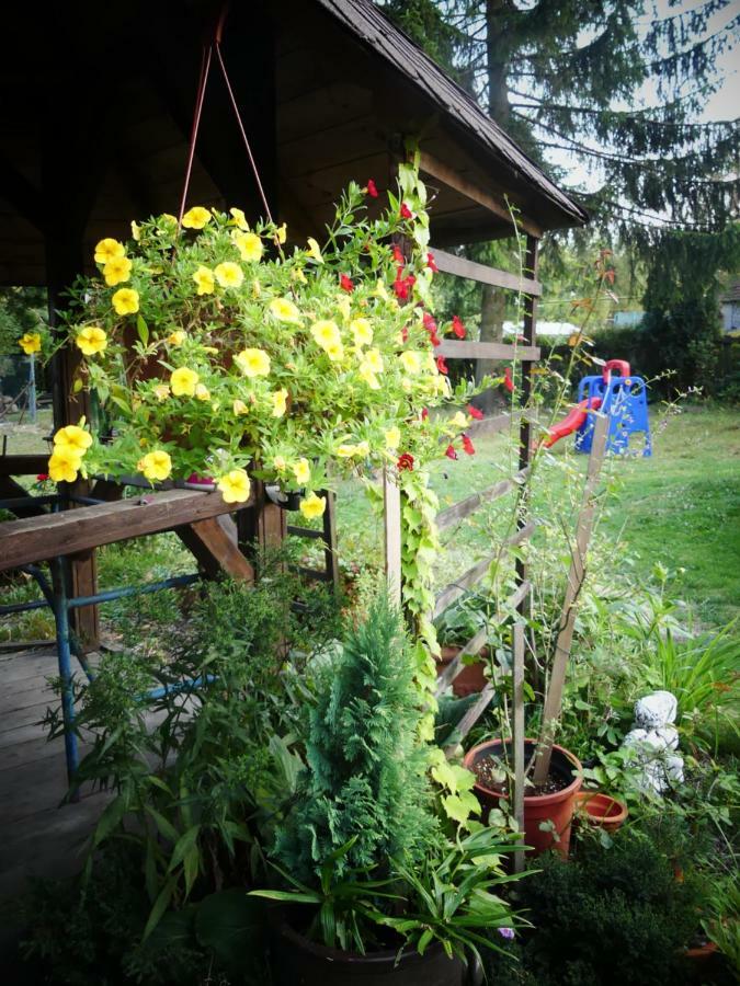 Venkovske Apartmany Tiche Pastviny Kamenicky Senov Екстериор снимка